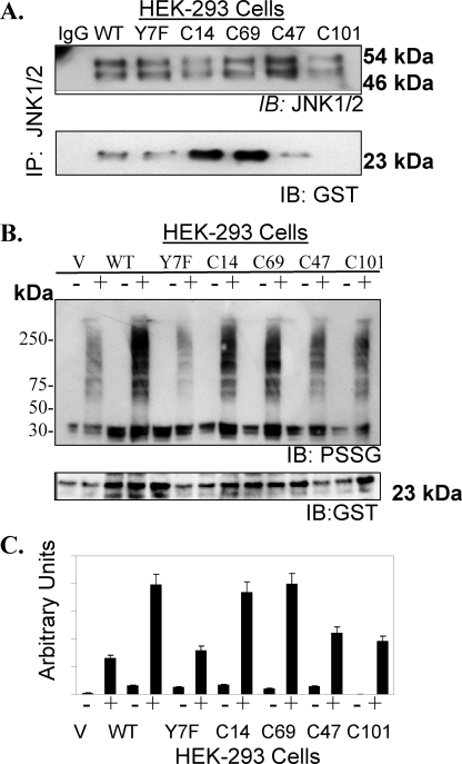 FIGURE 7.