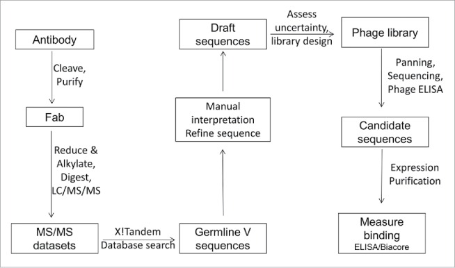 Figure 1.