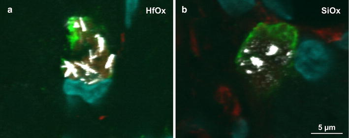 Fig. 4