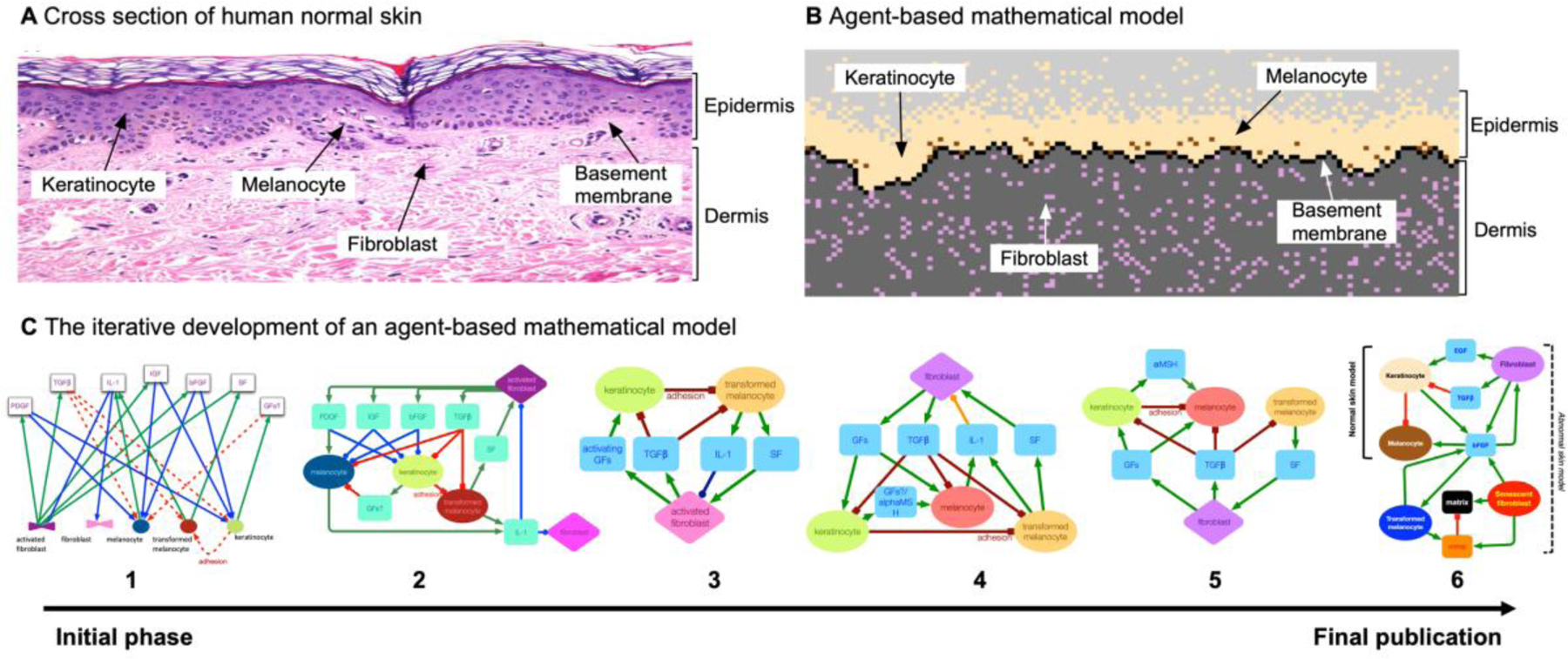 Figure 1.