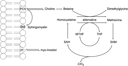 Figure 5