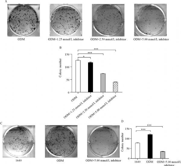 Fig.6