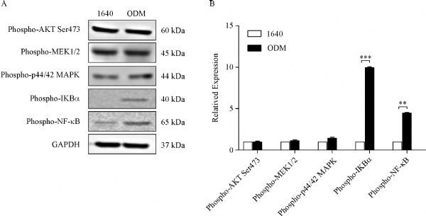 Fig.3