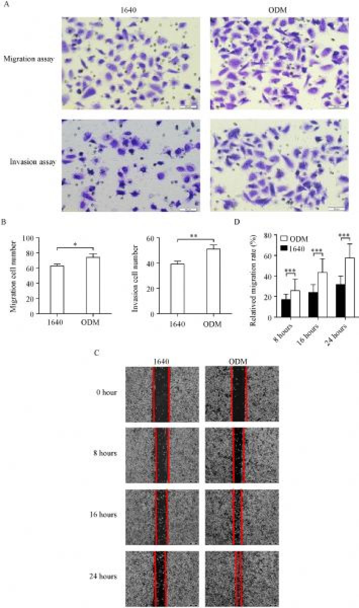 Fig.2