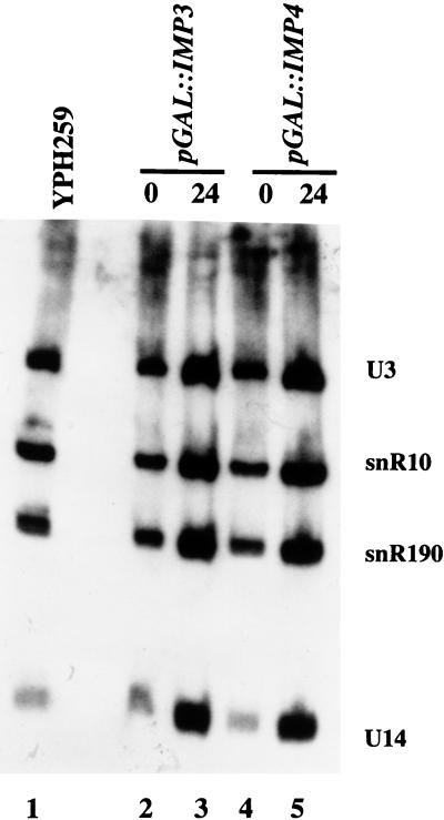 FIG. 9