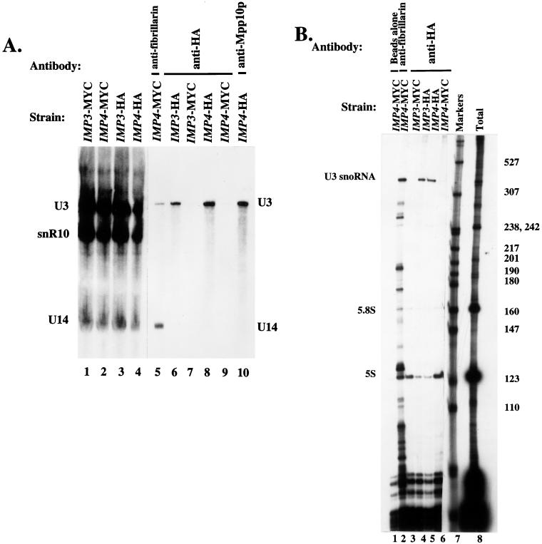 FIG. 8