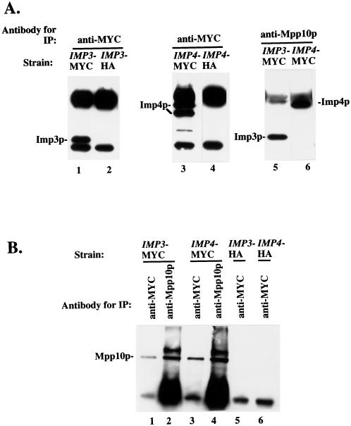 FIG. 7