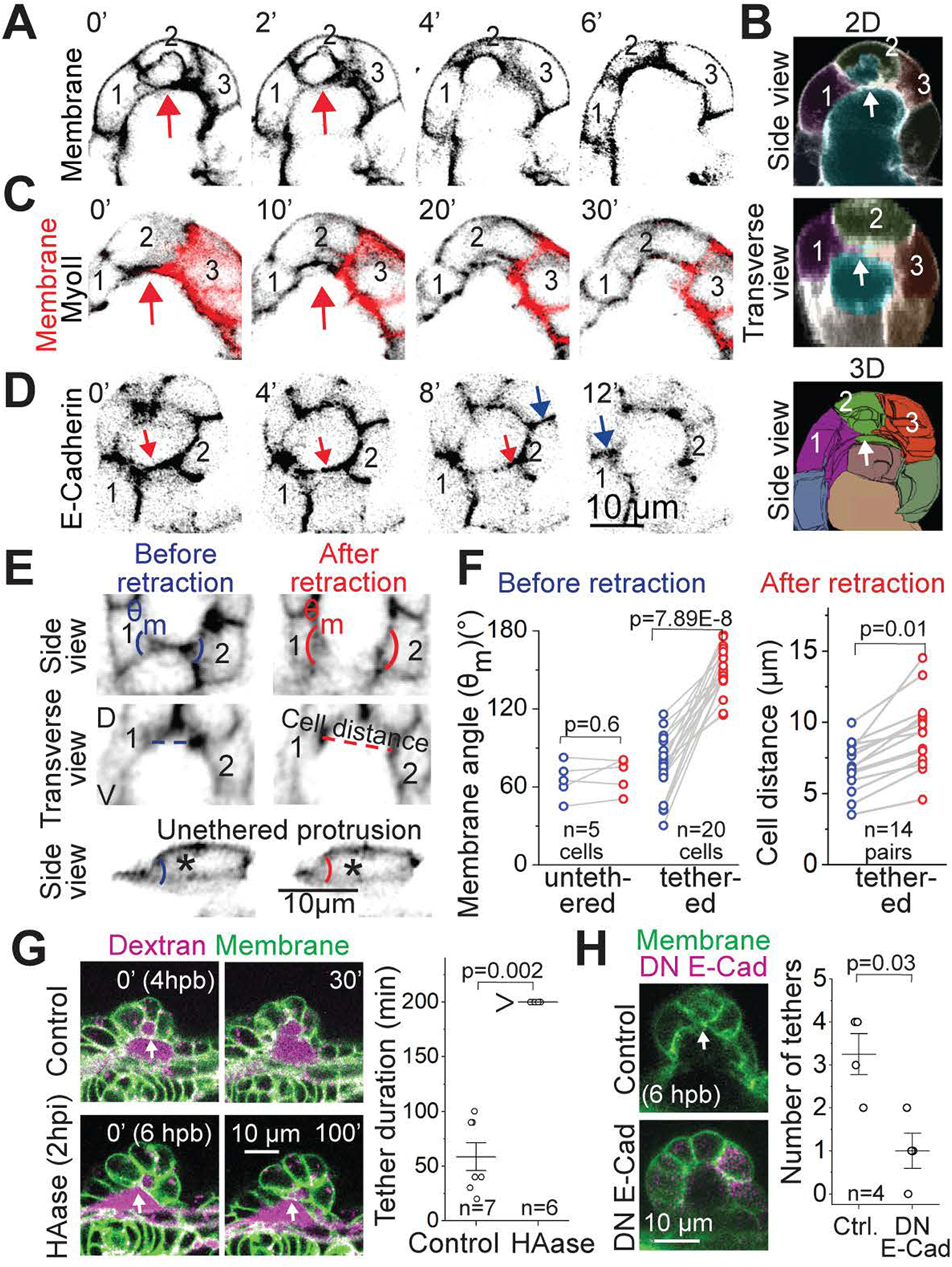 Figure 6-