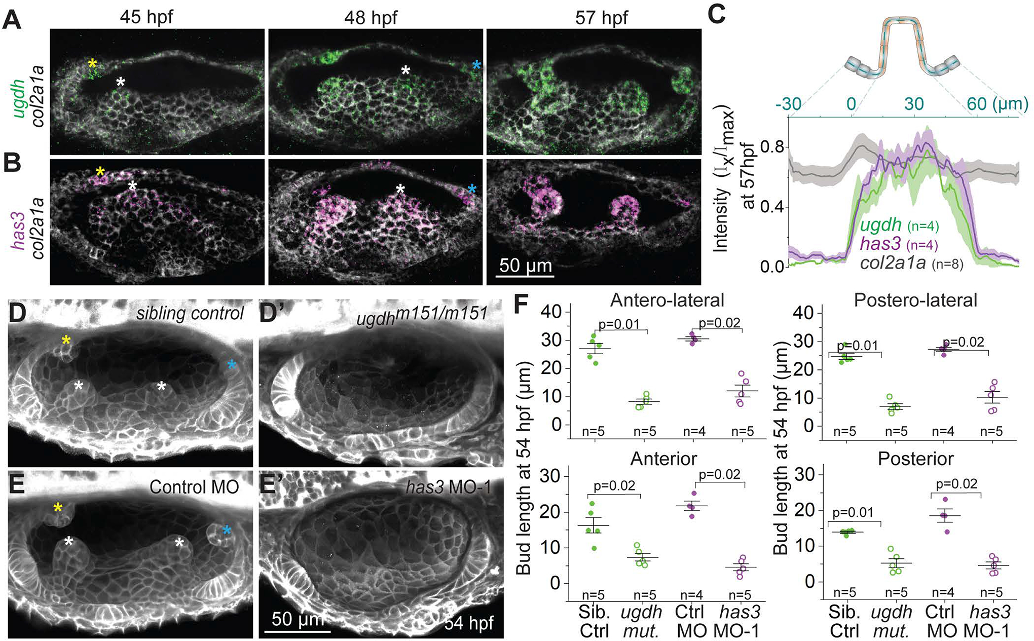 Figure 3-