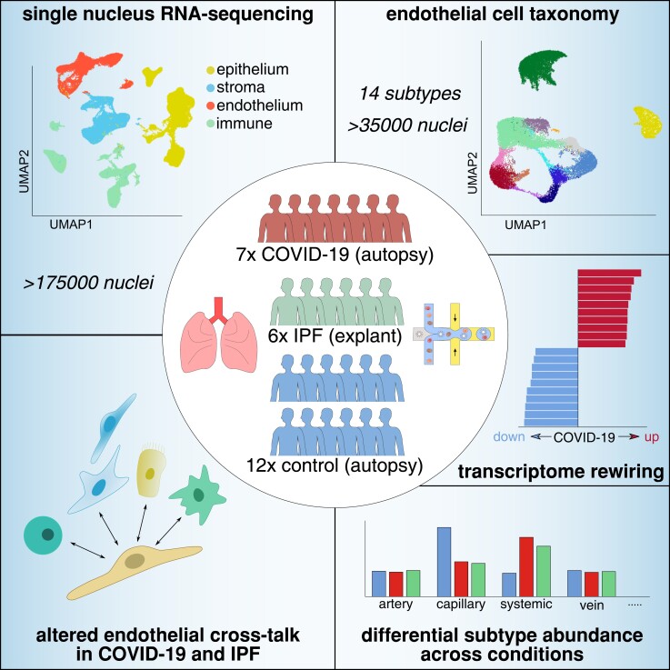 Graphical Abstract