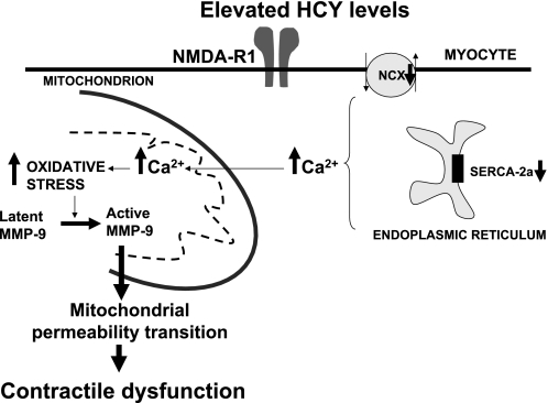 Fig. 7.