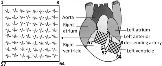 Fig. 1.