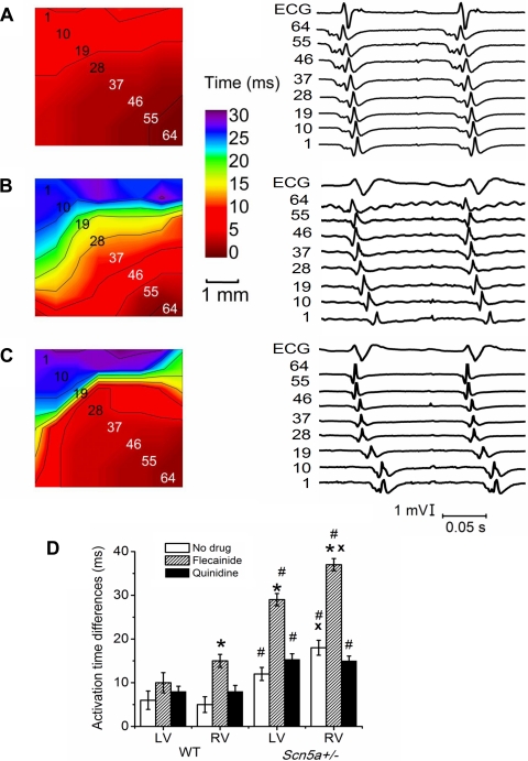 Fig. 3.