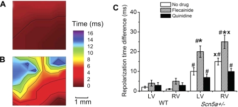 Fig. 6.