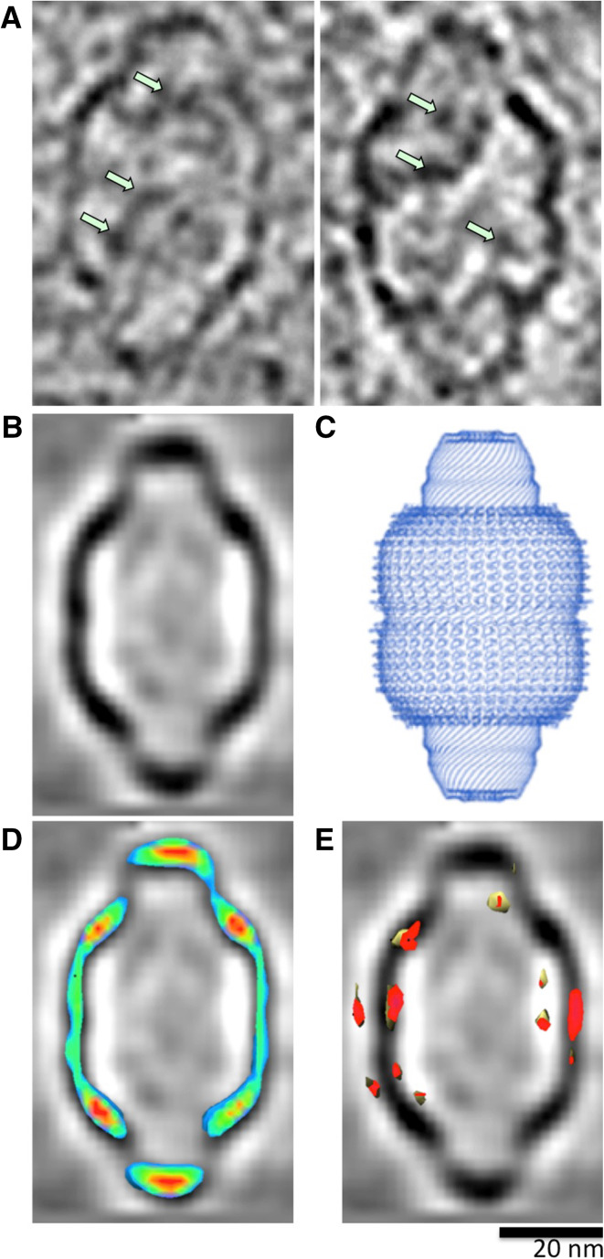 Fig. 3