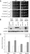 FIG. 6.