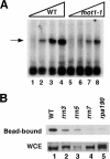 FIG. 9.