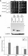 FIG. 7.