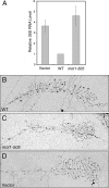 FIG. 8.