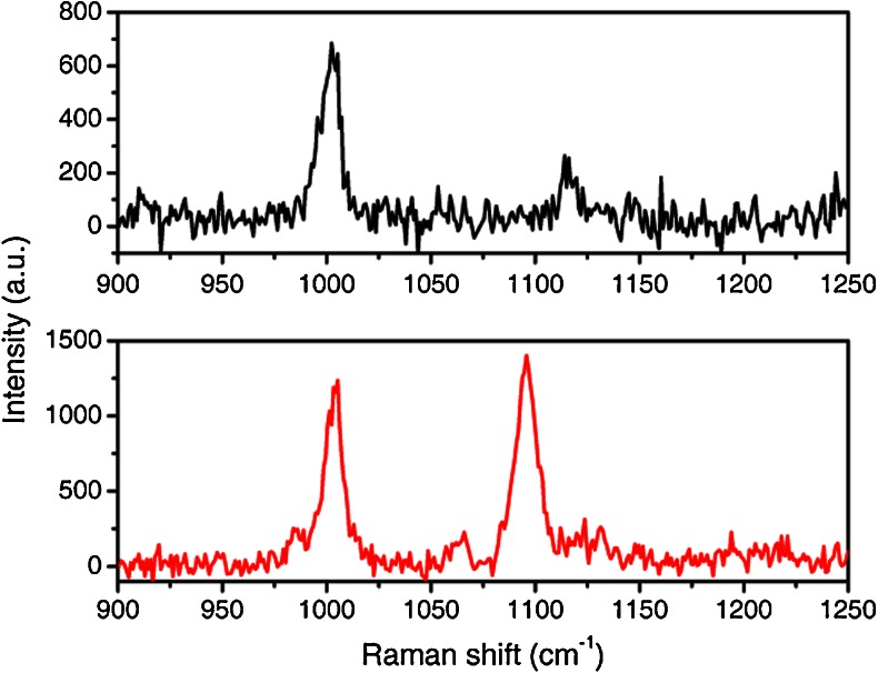 Fig. 9