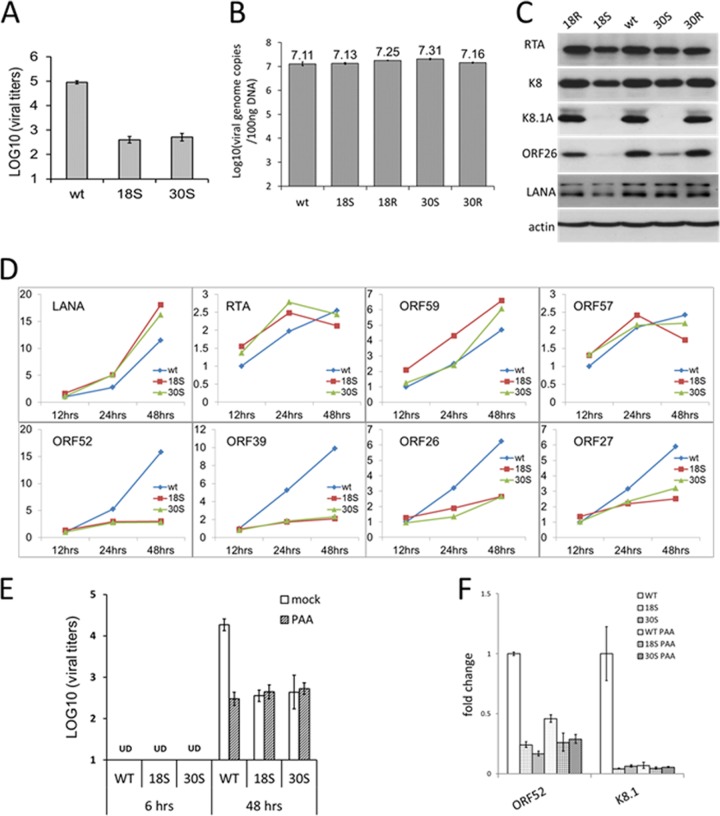 FIG 6