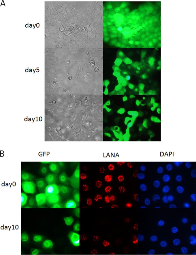 FIG 3