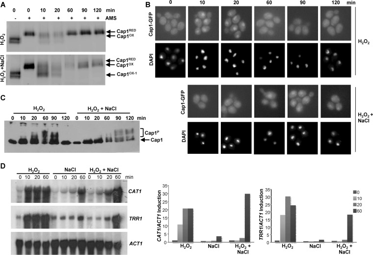 FIG 3 