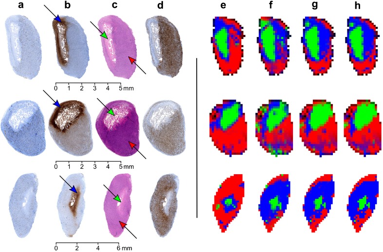 Fig. 2.