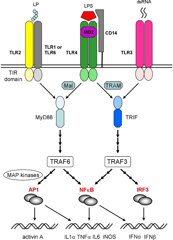 Fig. 2