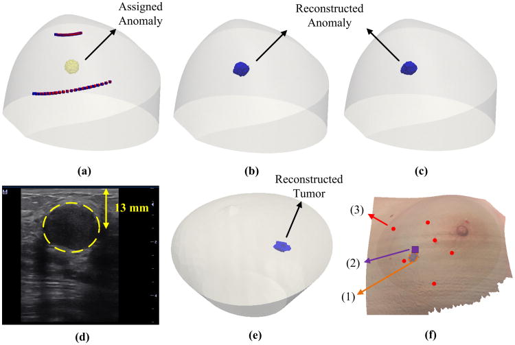 Fig. 8