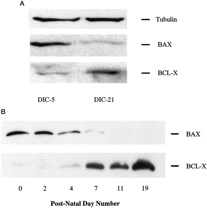 Fig. 8.