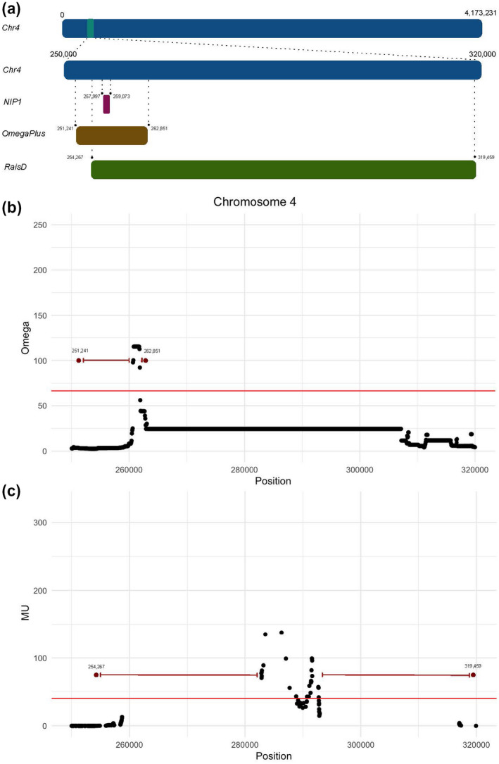 FIGURE 3