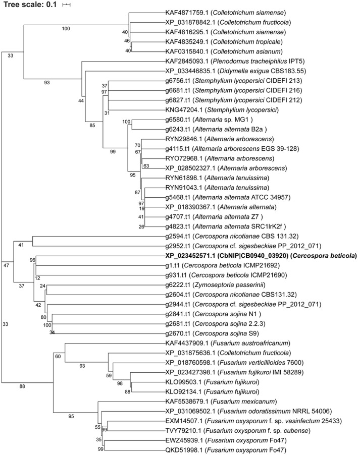 FIGURE 2