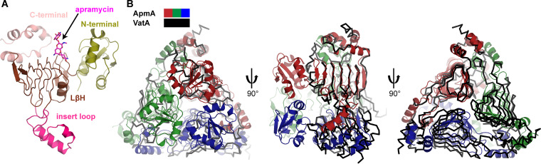 FIG 3