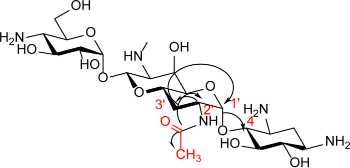 FIG 2