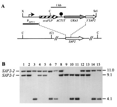 FIG. 3.