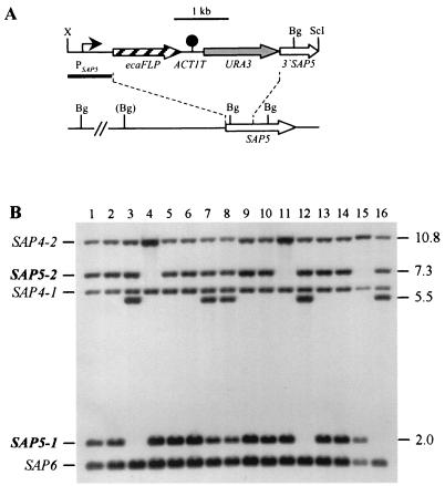 FIG. 2.