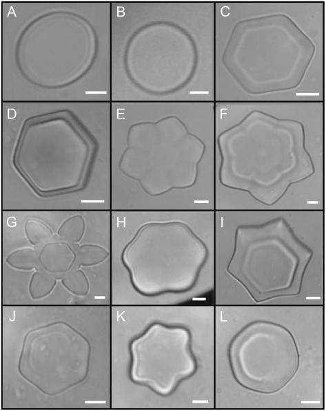 Figure 7.