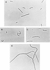 FIG. 5