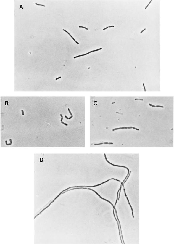 FIG. 5