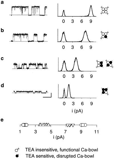 Fig 2.