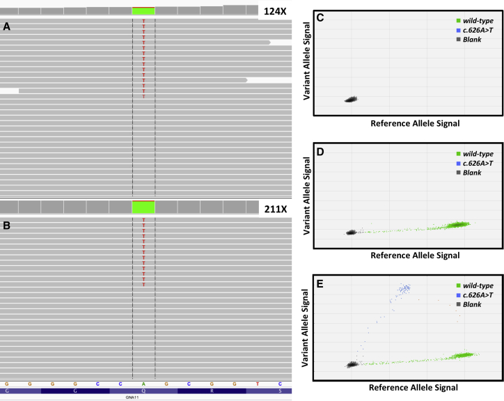 Figure 2