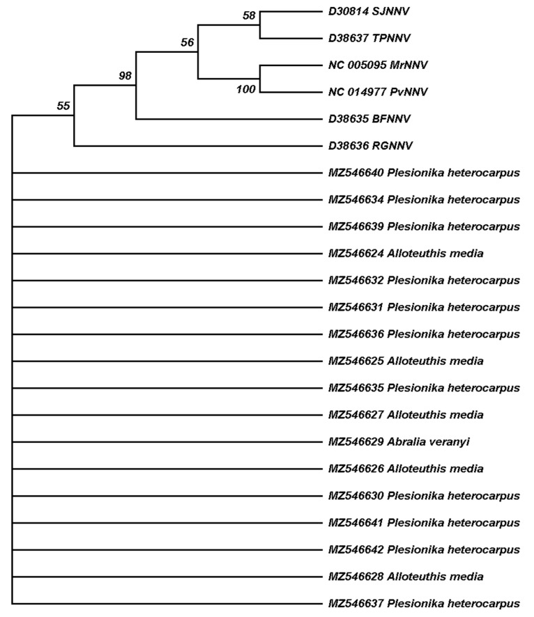 Figure 2