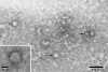 FIG. 1.