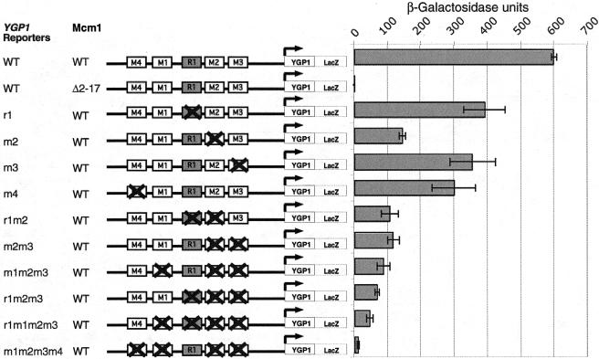 FIG. 6.