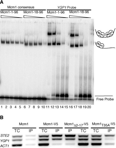 FIG. 8.