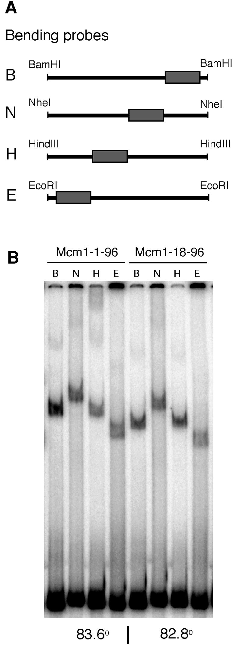 FIG. 9.