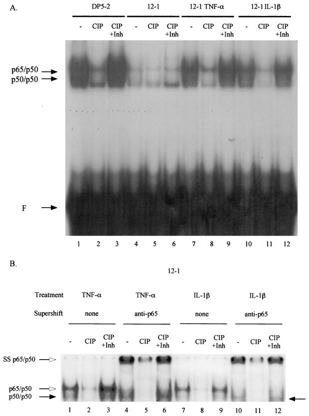 FIG. 5.