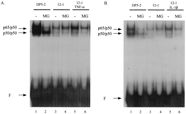 FIG. 4.