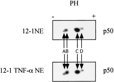 FIG. 6.